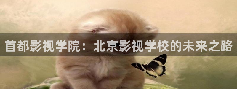 飘雪影院看电影在线观看：首都影视学院：北京影视学校的未来之路